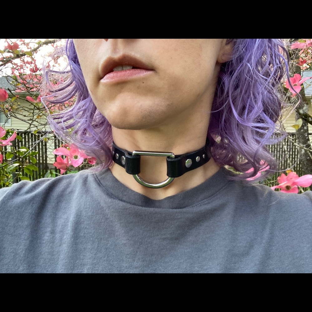 Black leather D-ring collar